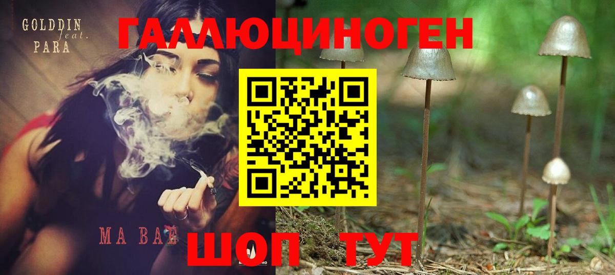 Псилоцибиновые грибы мухоморы Трёхгорный